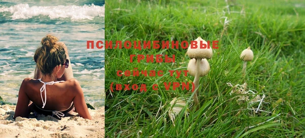круглые Алексеевка